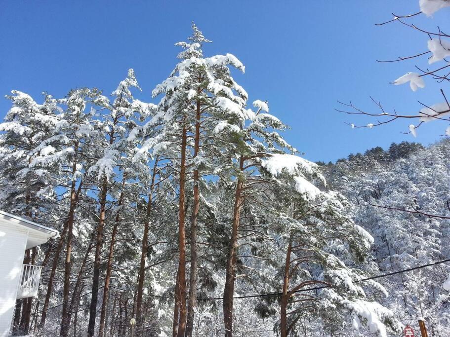Blue Sky Milky Way Pension Yangyang Extérieur photo